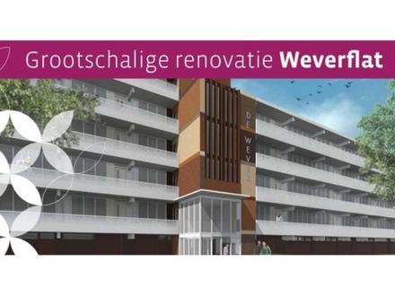 Weverflat Gennep